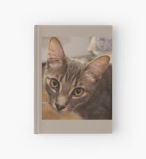 Ozzy the kitten Hardcover Journal