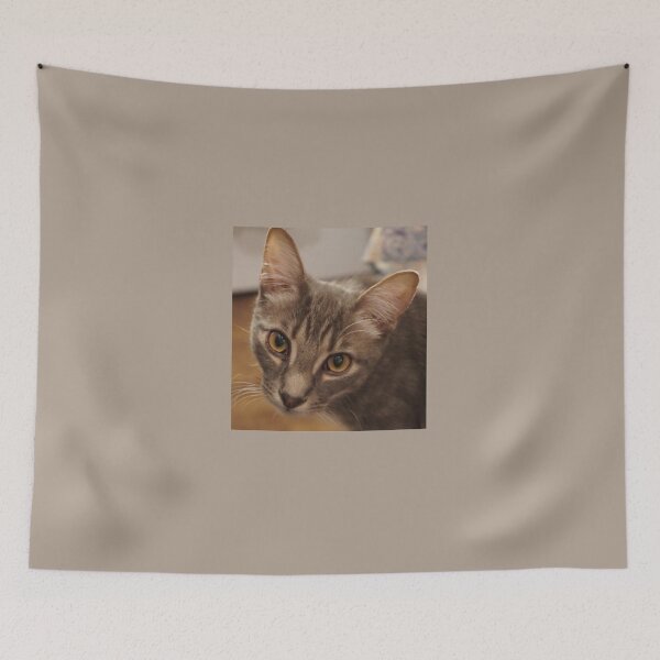 Item preview, Ozzy the kitten designed and sold by Martin Boisvert.