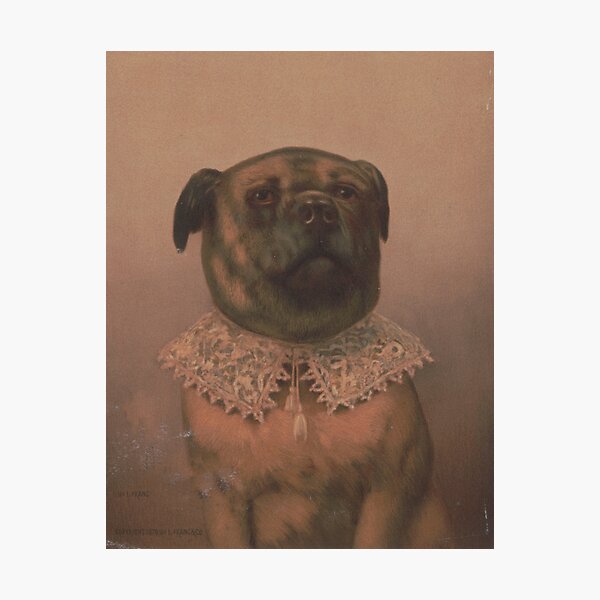 Item preview, Vintage Sophisticated Dog Illustration (1878)  designed and sold by BravuraMedia.