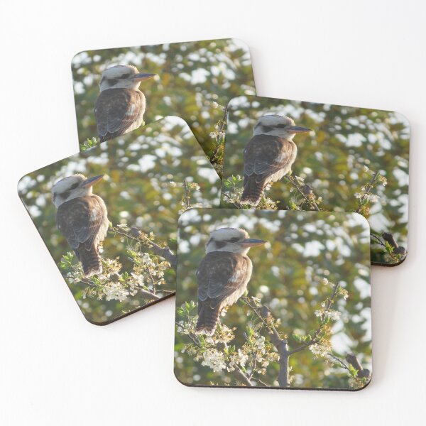 Item preview, kookaburra in the orchard designed and sold by Bob-tography.