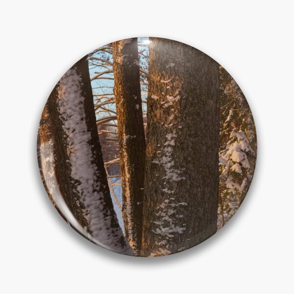 Item preview, Pines. Last morning of 2023  number 15 designed and sold by Jouko Lehto Photography.