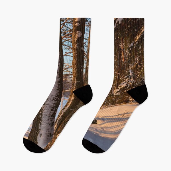 Item preview, Pines. Last morning of 2023  number 15 designed and sold by Jouko Lehto Photography.