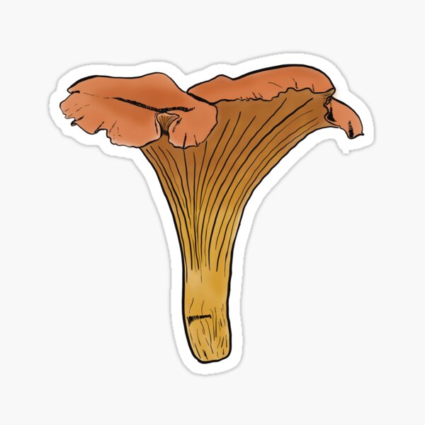 Item preview, Chanterelle  designed and sold by Cwstrutt.