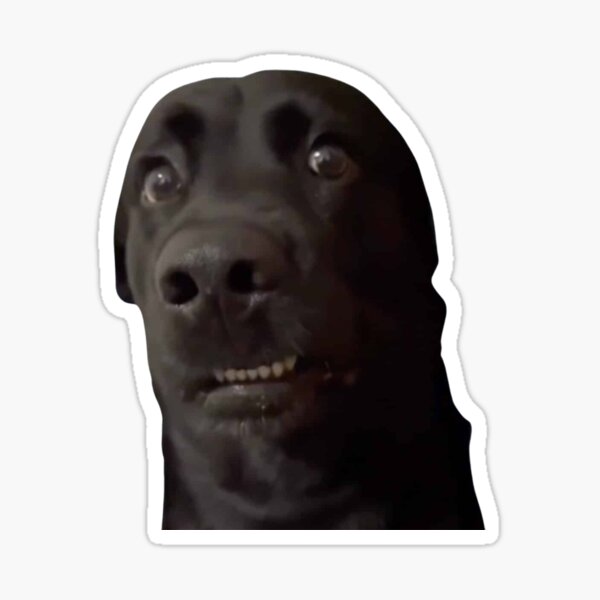 Item preview, Worried / Scared Dog Meme front facing designed and sold by ThatMemeDude.