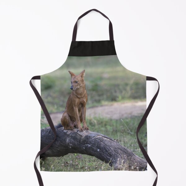 Item preview, Dhole designed and sold by Puttaswamy Ravishankar.