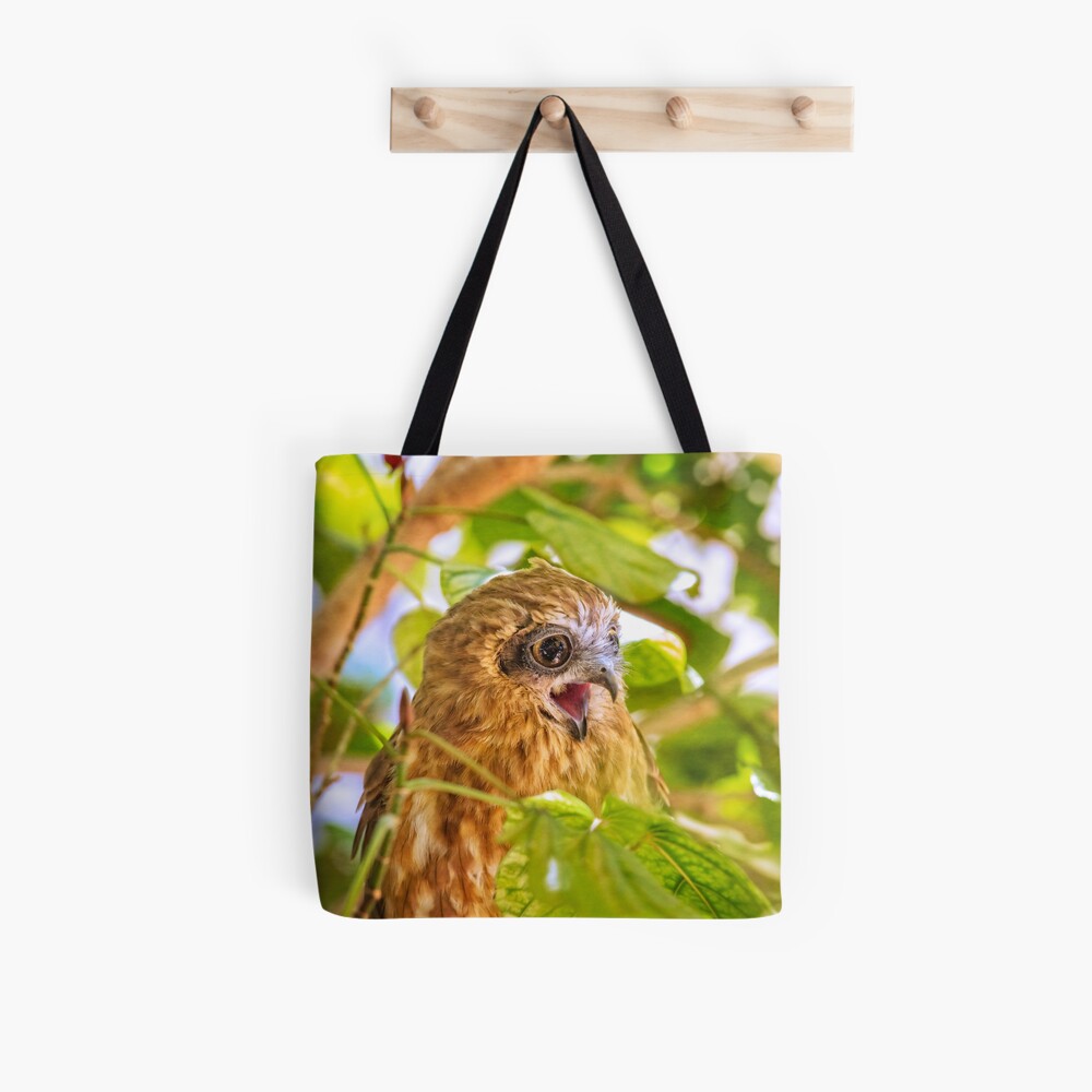 Southern Boobook Owl, Western Australia Tote Bag