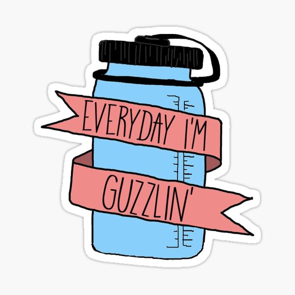 Hydrate Stickers - Water Bottle Sticker Funny Sticker Women – StormsStickers