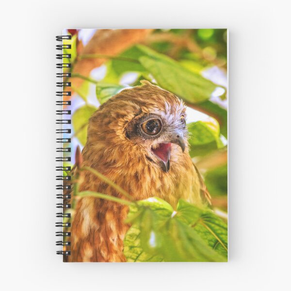 Item preview, Southern Boobook Owl, Western Australia designed and sold by Dave Catley.