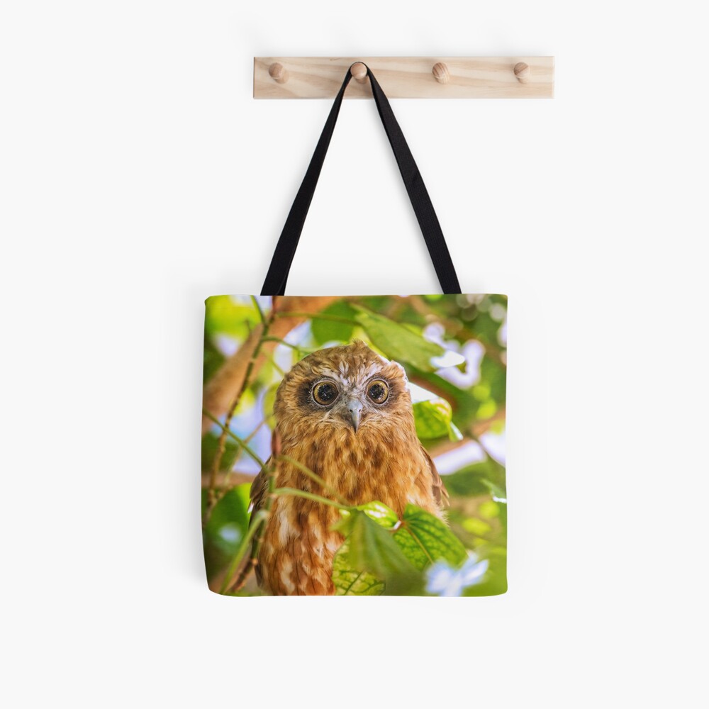 Southern Boobook Owl, Western Australia Tote Bag