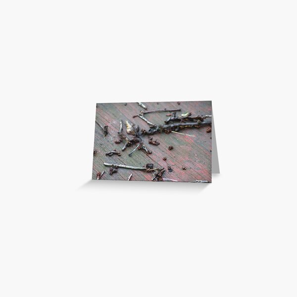 tree buds on wood Greeting Card