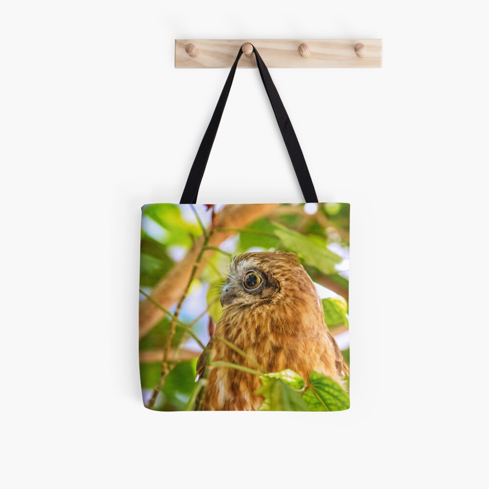 Southern Boobook Owl, Western Australia Tote Bag