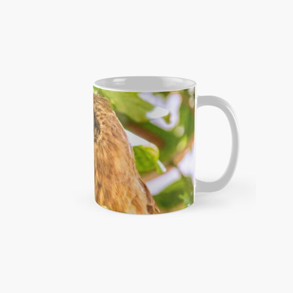 Southern Boobook Owl, Western Australia Classic Mug