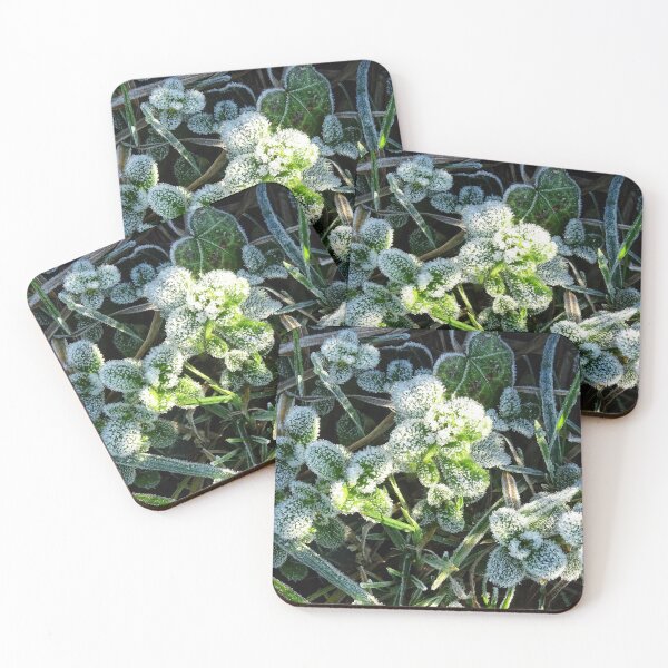 Item preview, Chilly Plant designed and sold by Stephen Peters Burry Port.