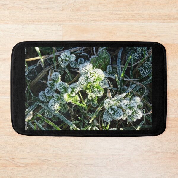 Item preview, Chilly Plant designed and sold by Stephen Peters Burry Port.