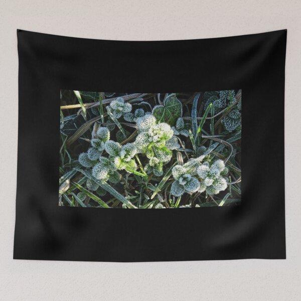 Item preview, Chilly Plant designed and sold by Stephen Peters Burry Port.