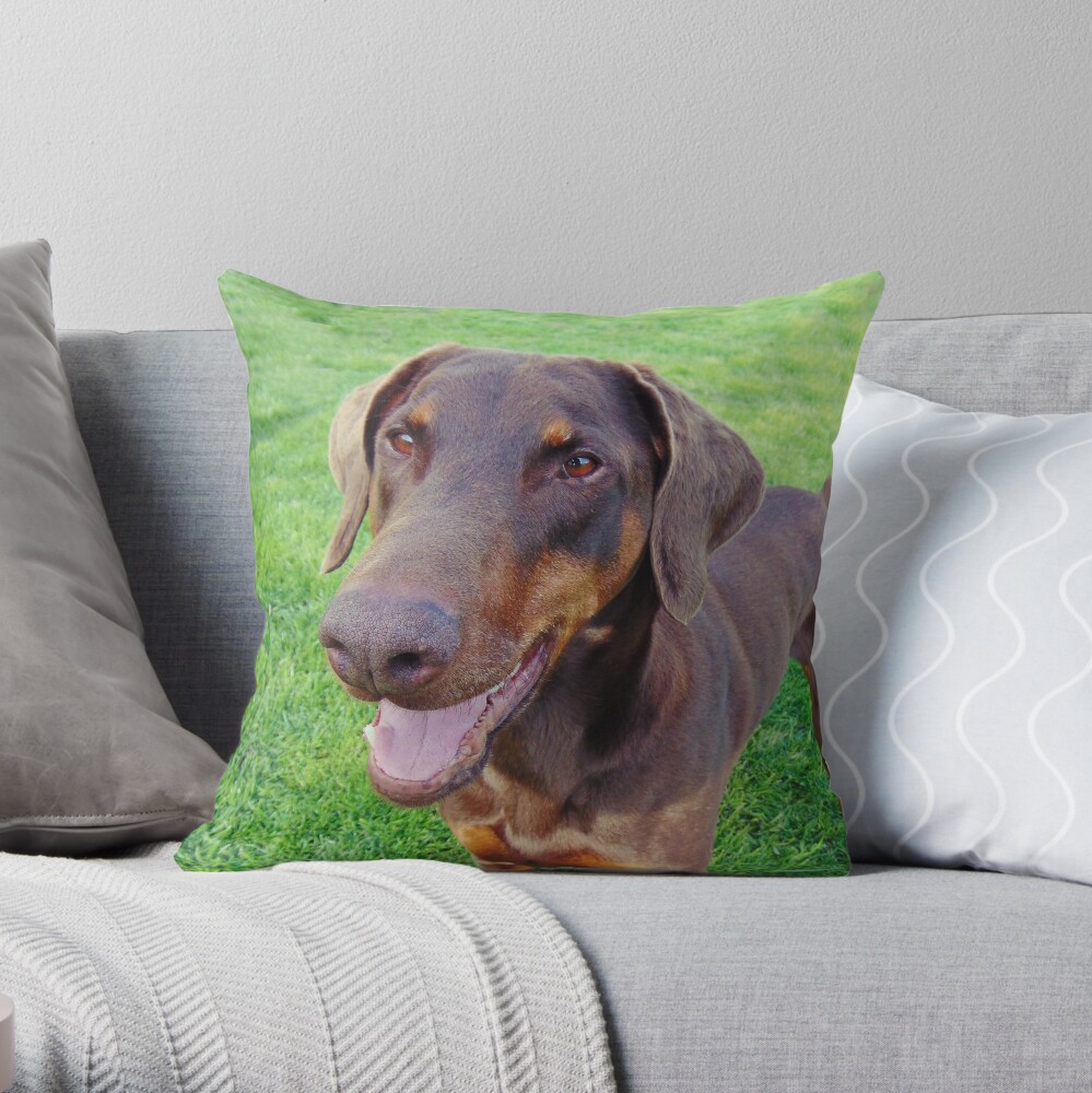 doberman pillow