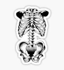 Exposed Sticker