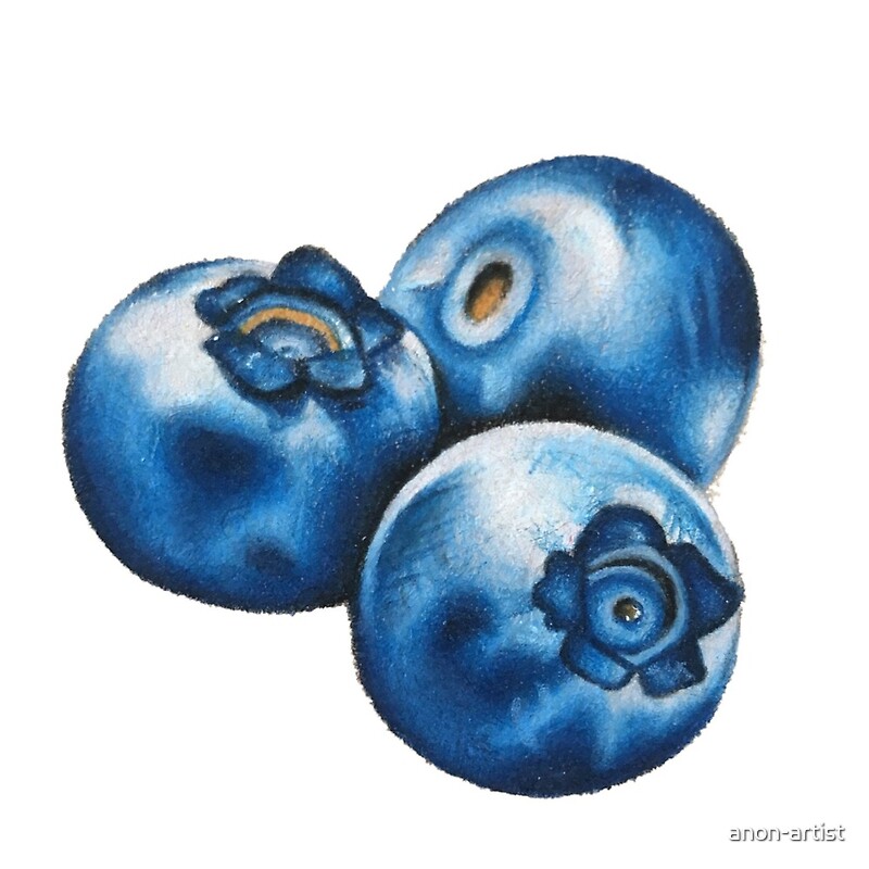 "Blueberries Drawing" by anonartist Redbubble