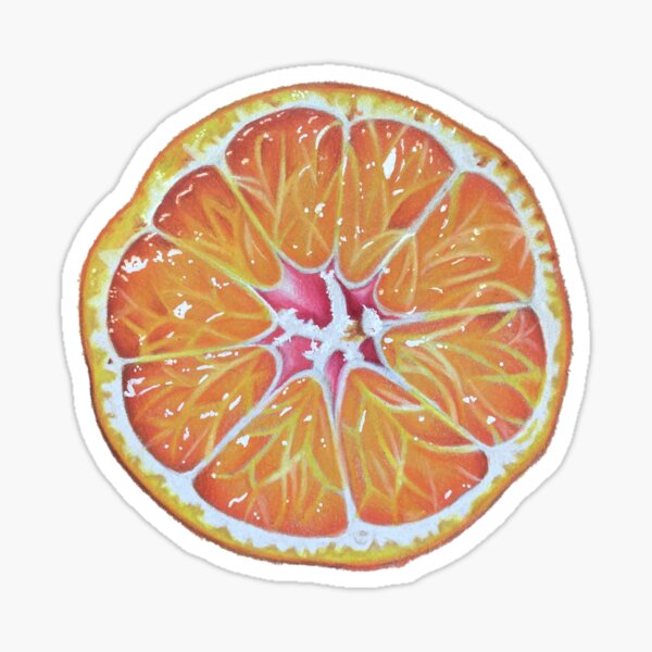 “Orange Slice Drawing” Sticker by anon-artist | Redbubble