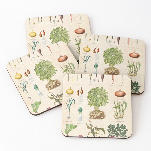 Item preview, Vintage botanical print root vegetable chart designed and sold by Creative Spectator.
