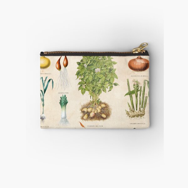 Item preview, Vintage botanical print root vegetable chart designed and sold by Creative Spectator.