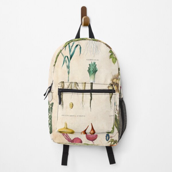Item preview, Vintage botanical print root vegetable chart designed and sold by Creative Spectator.
