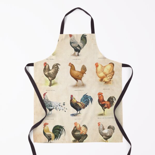 Item preview, Vintage chicken breed chart designed and sold by Creative Spectator.
