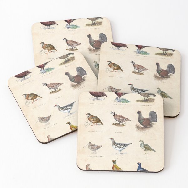 Item preview, Vintage game bird chart designed and sold by Creative Spectator.