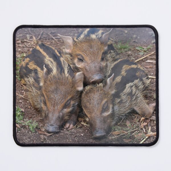 Item preview, Three Little Pigs  designed and sold by aquabella.