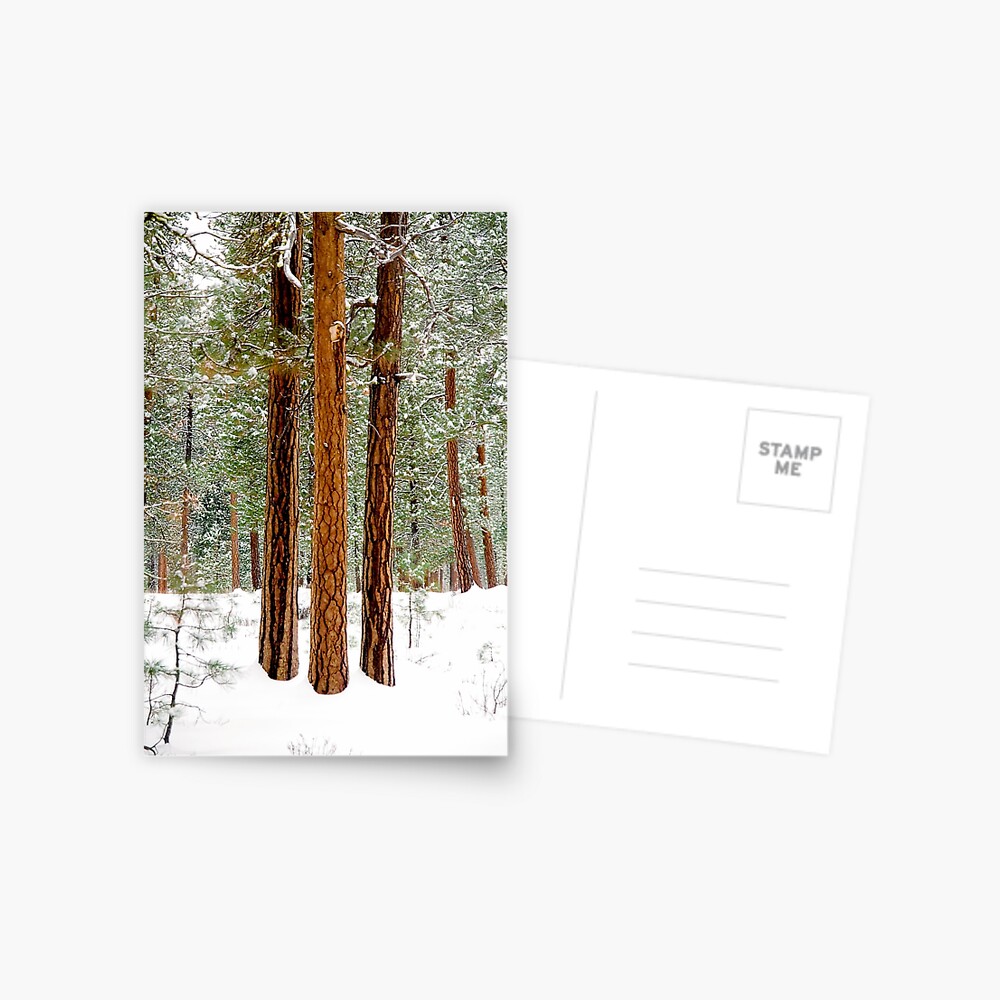 Item preview, Postcard designed and sold by DaogreerEarth.