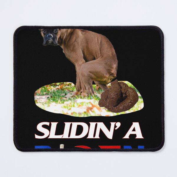 Item preview, slidin' a biden designed and sold by Kackos.