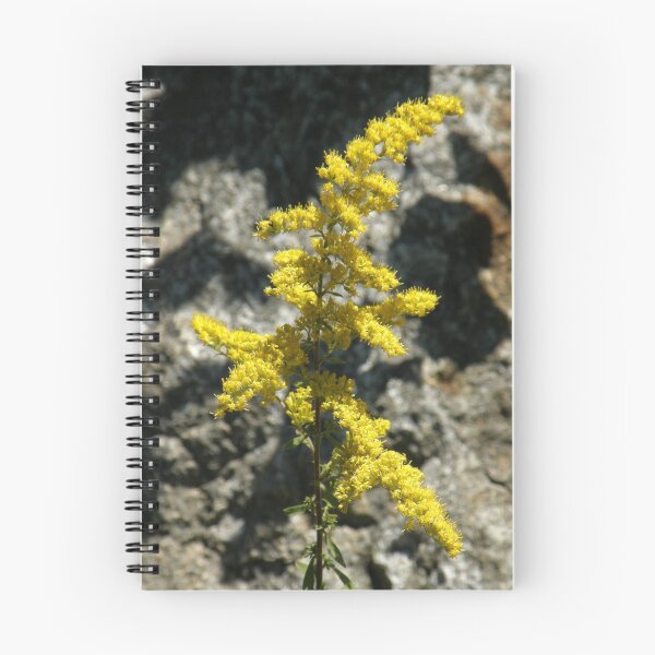 Item preview, Nonallergenic Goldenrod designed and sold by Len Bomba.