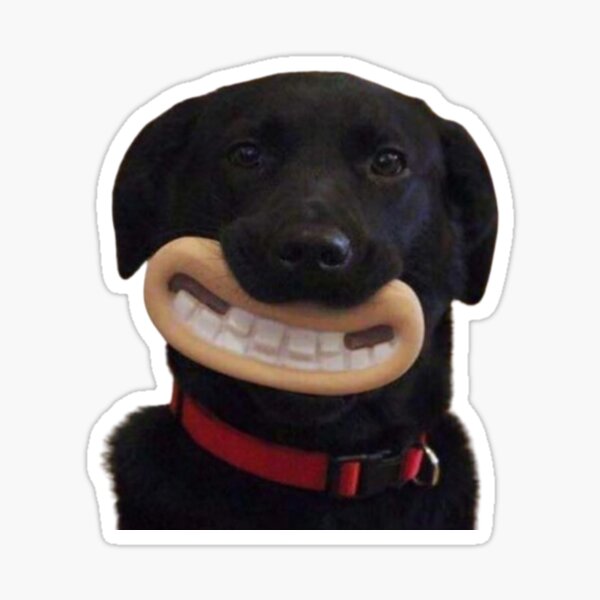 Item preview, Smiling Dog Meme Sticker designed and sold by NicolasGlowArt.