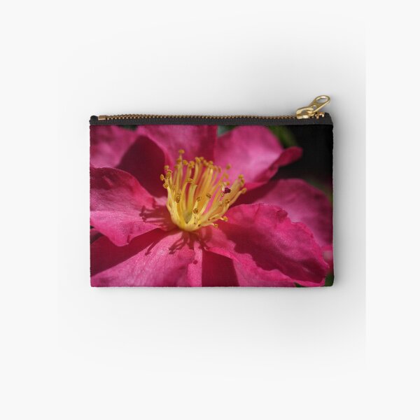 Item preview, Camellia Sasanqua designed and sold by Joy Watson - Natural Light Photography .