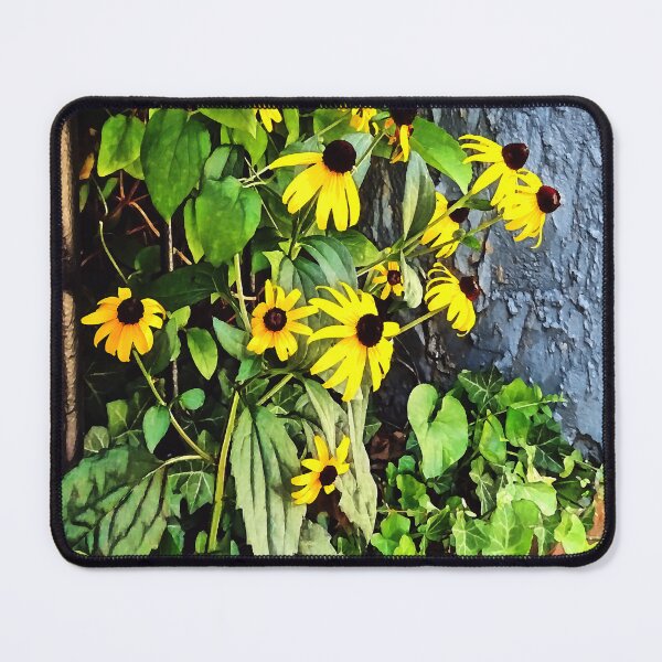 Item preview, Black Eyed Susans By Stone Wall designed and sold by Susan Savad.