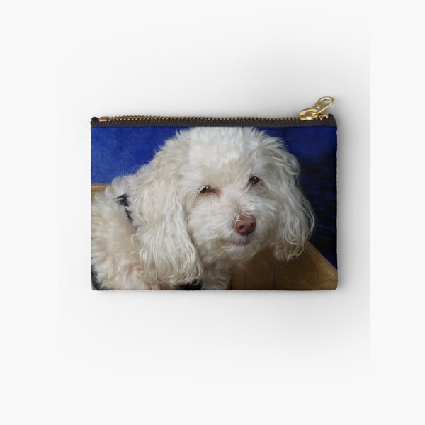 Item preview, Nice Strange Little Doggy designed and sold by WildestArt.