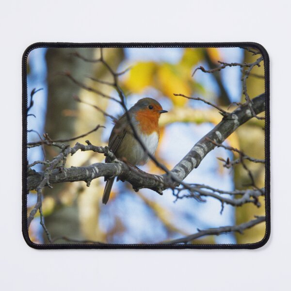 Item preview, Little Robin Red Breast designed and sold by StelleryART.