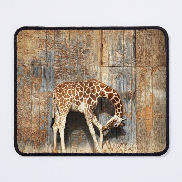 Item preview, Giraffe Pose designed and sold by Cynthia48.