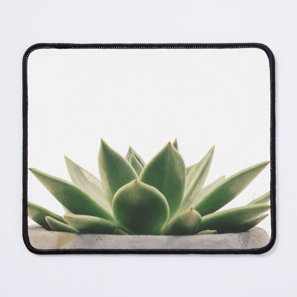 Item preview, Echeveria Succulent Growing designed and sold by erkabees.