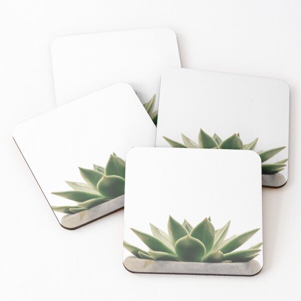 Item preview, Echeveria Succulent Growing designed and sold by erkabees.