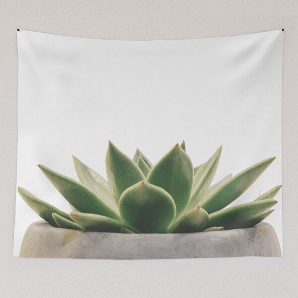 Item preview, Echeveria Succulent Growing designed and sold by erkabees.