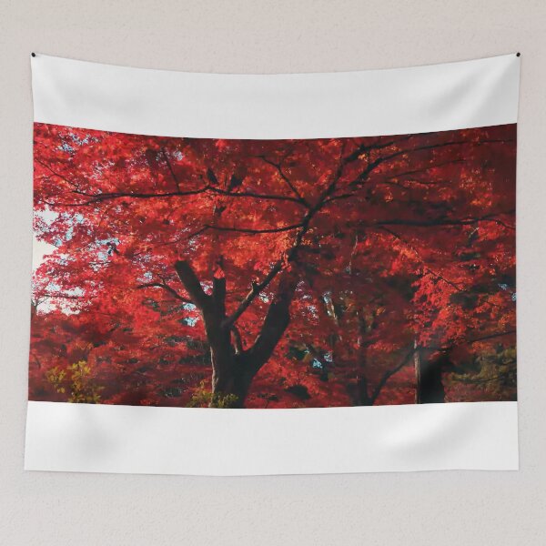 Item preview, The red leafed tree is commonly known as the Japanese Maple (Acer palmatum) in Japan. It is also referred to as "Momiji" in Japanese, which means "red leaves." designed and sold by zambalala.