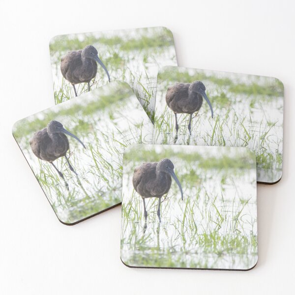 Item preview, Glossy Ibis designed and sold by LaurenTucker.
