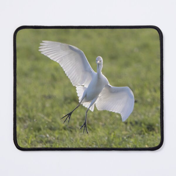 Item preview, Cattle Egret designed and sold by LaurenTucker.