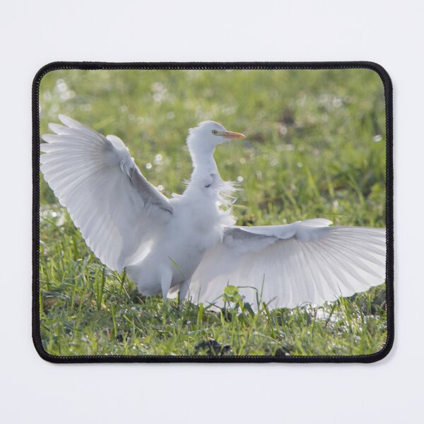 Item preview, Cattle Egret designed and sold by LaurenTucker.