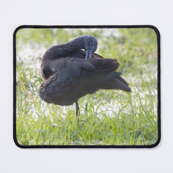 Item preview, Glossy Ibis designed and sold by LaurenTucker.
