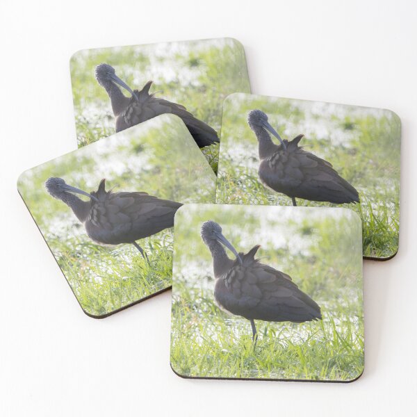 Item preview, Glossy Ibis designed and sold by LaurenTucker.