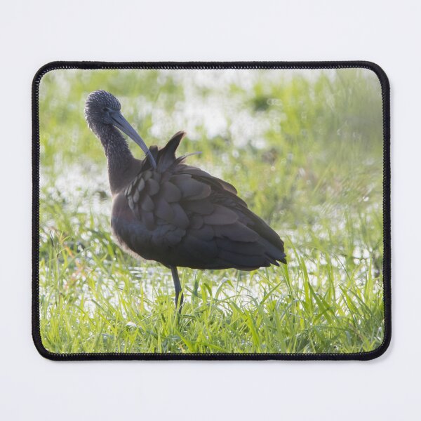 Item preview, Glossy Ibis designed and sold by LaurenTucker.