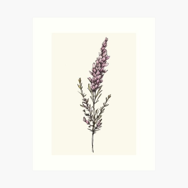 Item preview, Lonely Heather designed and sold by Planthem.