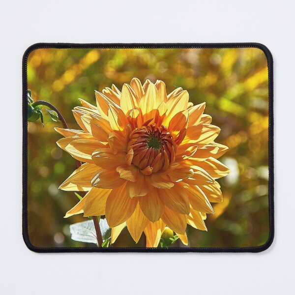 Item preview, Summer flower designed and sold by Babbler01.